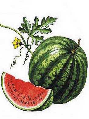 �������� ��������: ����� ���������.